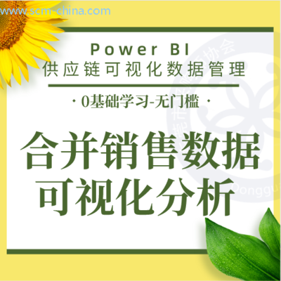 合并销售数据可视化分析
